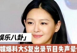 台媒爆料大s最新动态,台媒揭秘其最新动态
