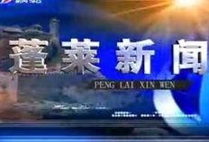 最新蓬莱爆料事件新闻,揭秘背后真相与争议