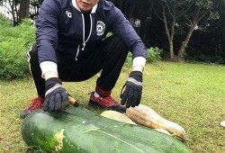 左各庄吃瓜最新事件爆料,最新爆料揭秘幕后真相