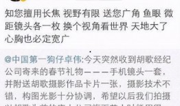 最新爆料娱乐圈卓伟,卓伟再掀风云，揭秘明星背后惊人真相！