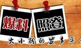 茶山新闻最新爆料,最新爆料引发热议