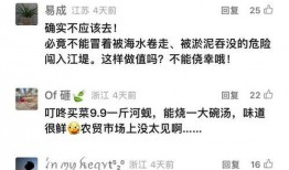 钱江最新爆料新闻视频下载,揭秘视频背后的惊人真相