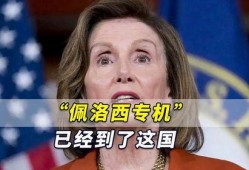 佩洛西的最新爆料是什么,揭秘国会内部惊人内幕